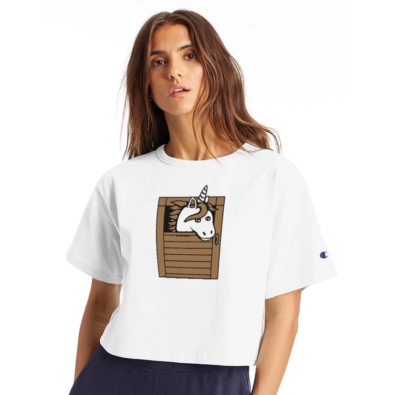 Unicorn Horse Stable Pony Peeking Out Cute Comic