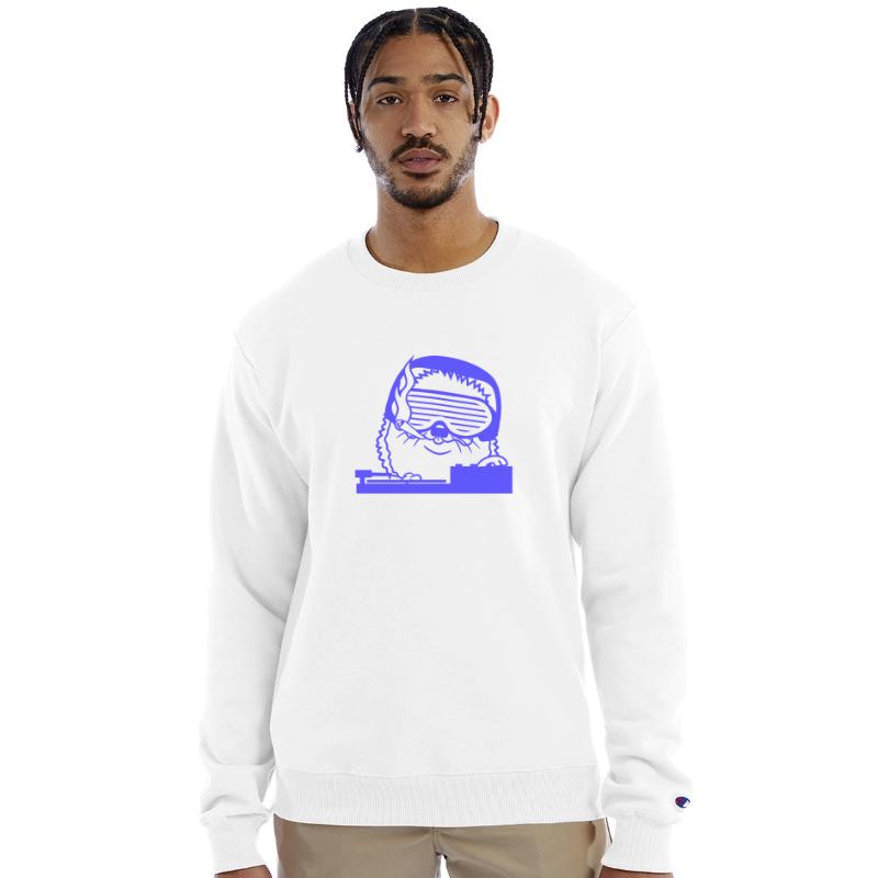 DJ Hedgehog Sunglasses Mixing Music Record Party