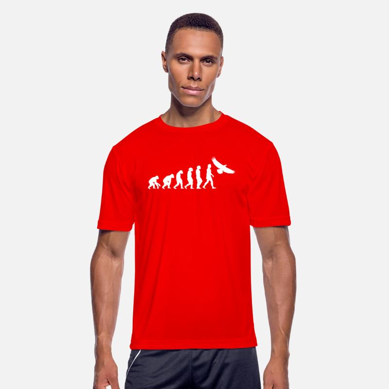 Eagle white evolution animals raptor bird