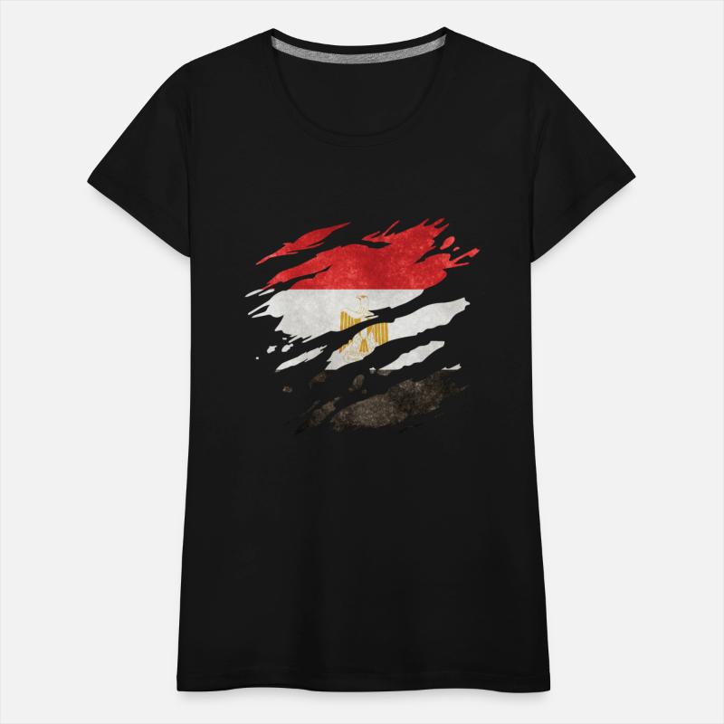 Egypt - national flag, scratches, cracks