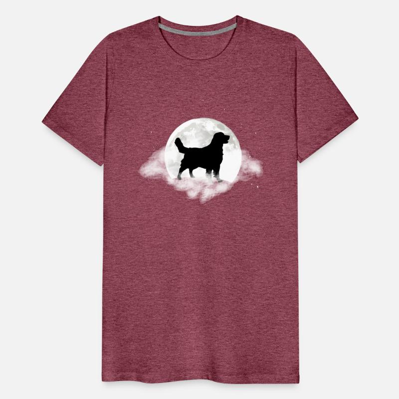 Golden Retriever For