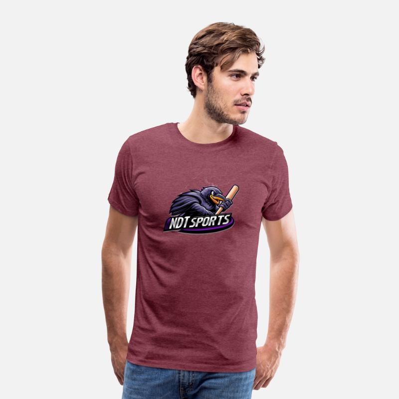NDT Sports Raven Mascot logo