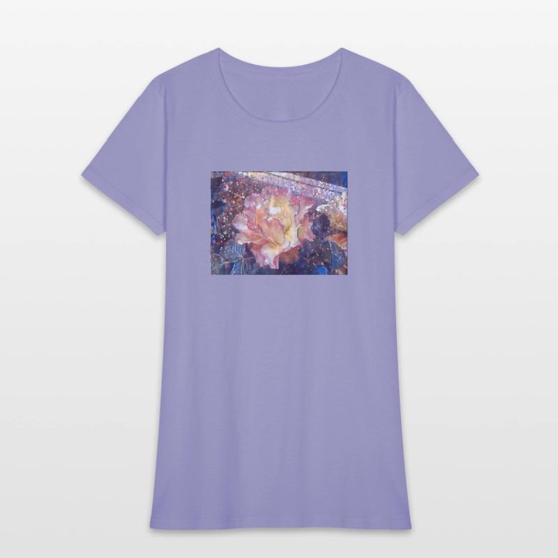 Rose of Many Colours Natures Beauty Abstract