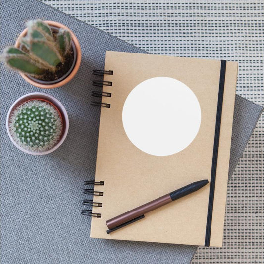 Surfing Surfboard Water sport Fun